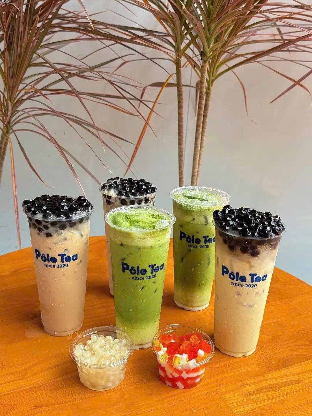 Thư Viện Mẫu