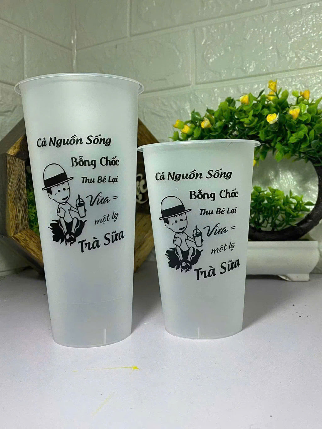Thư Viện Mẫu